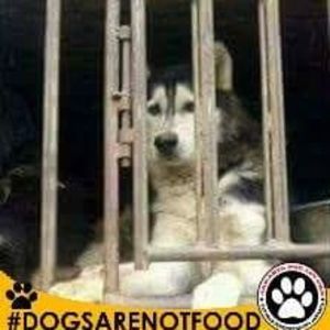 Meet your Posher, Tess